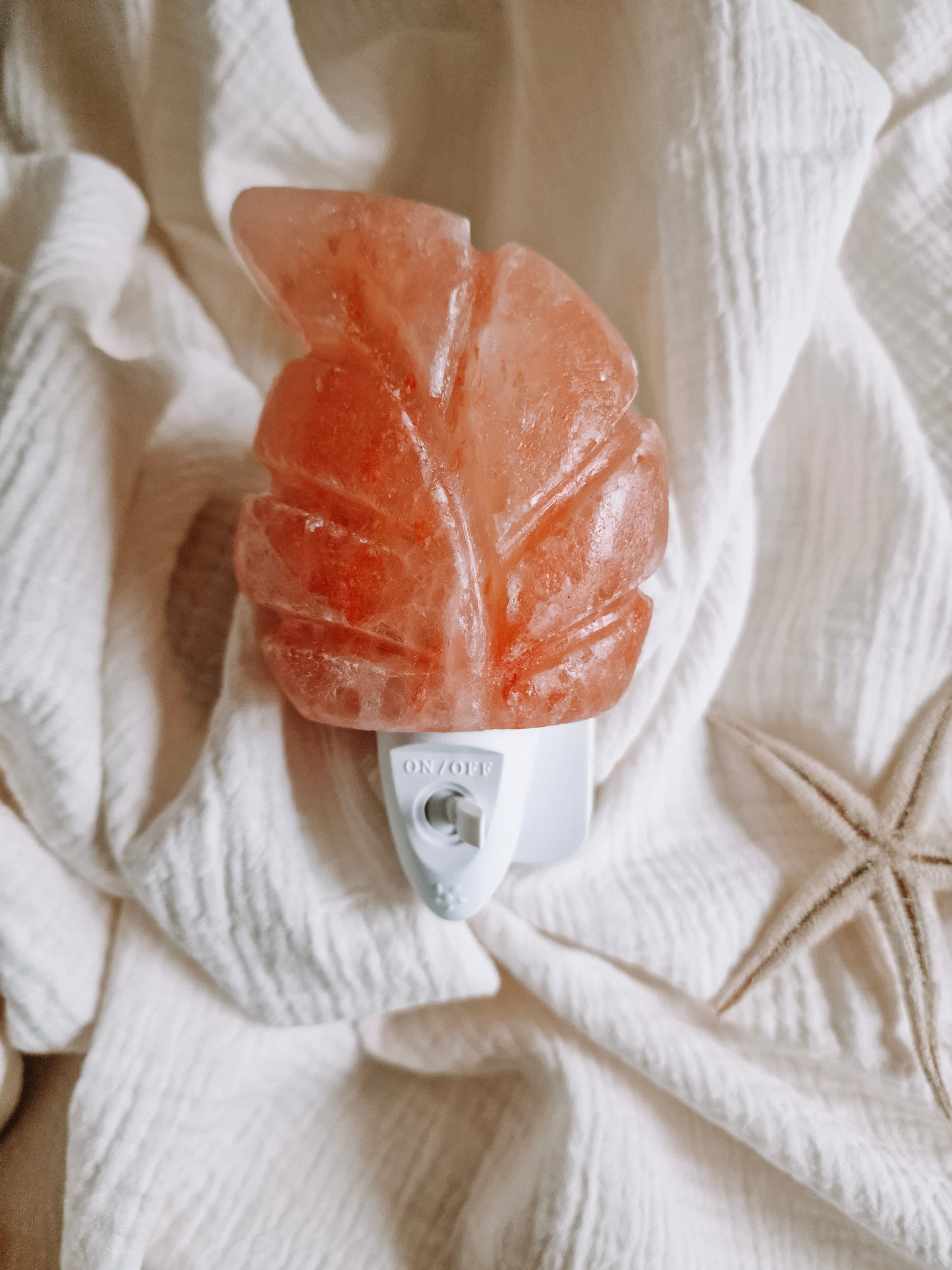 Himalaya zoutsteen nachtlampje | BLAD