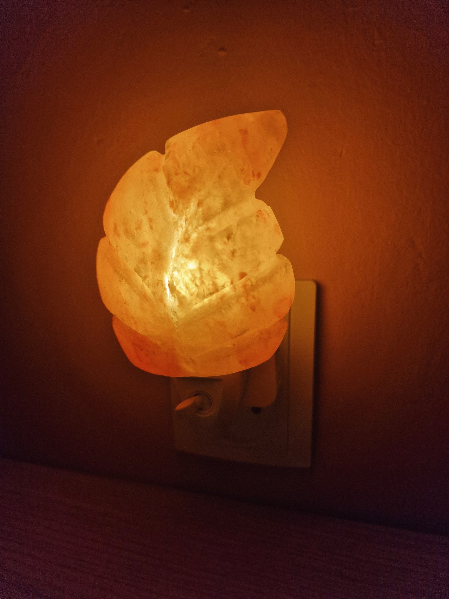 Himalaya zoutsteen nachtlampje | BLAD