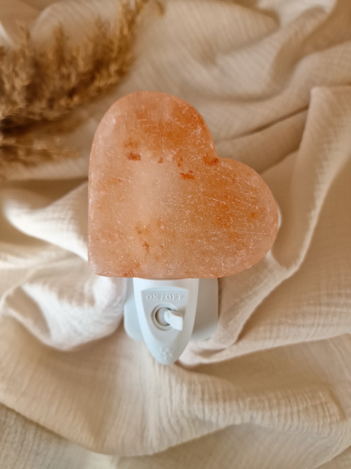 Himalaya zoutsteen nachtlampje | HART Oranje